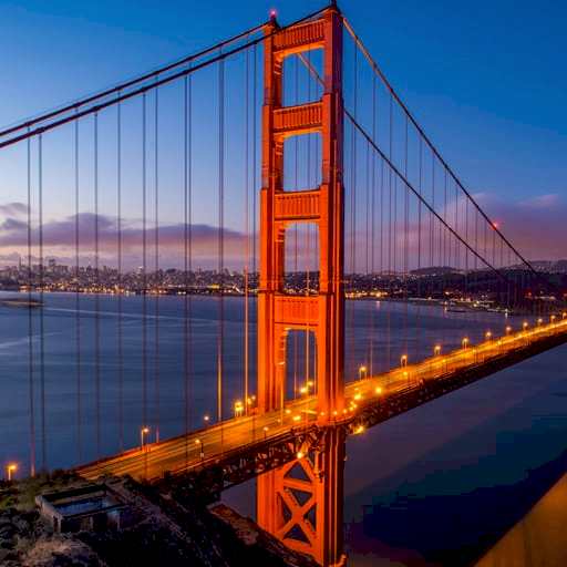 AMERİKA DİL OKULLARI